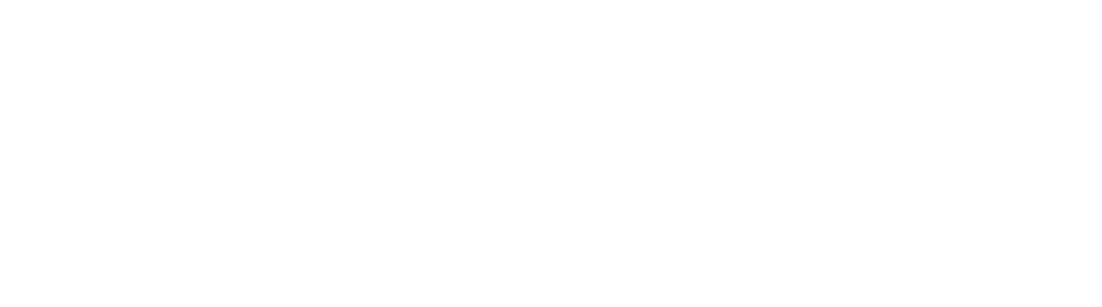 Warden